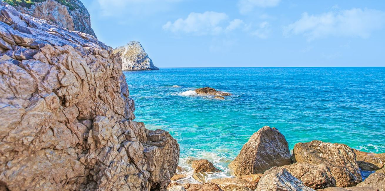 Nick Karvounis 45393