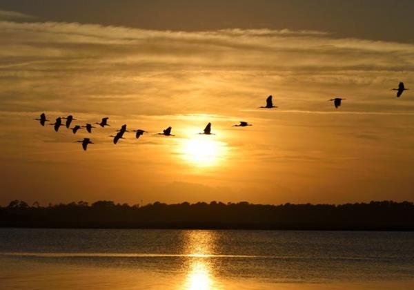 Fethiye and Gocek Climate